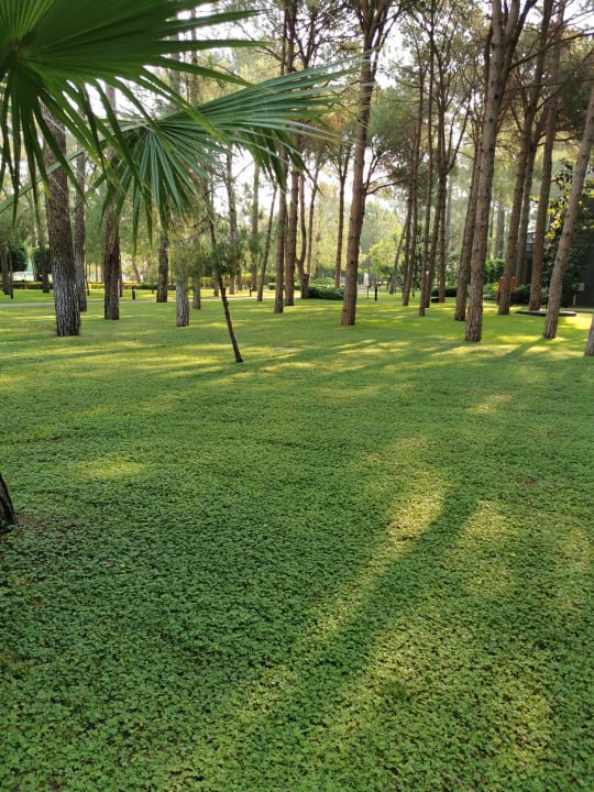 Gartenanlage Balmy Foresta