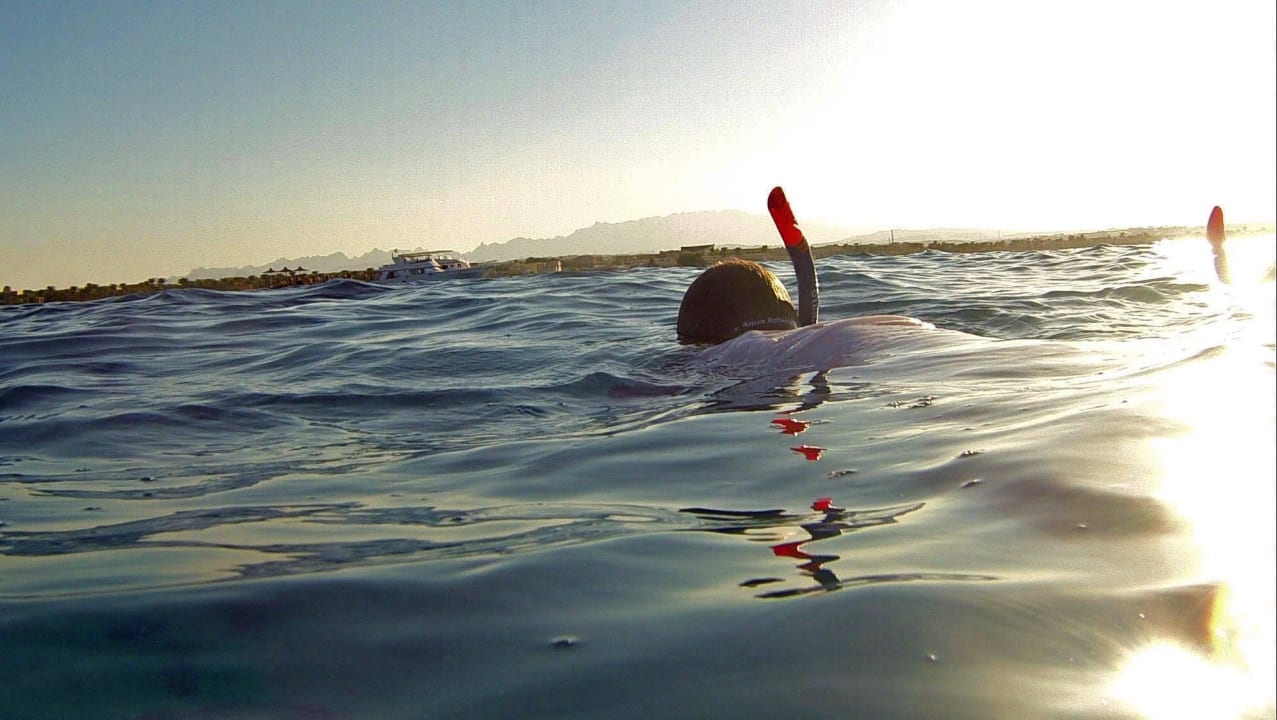 Schnorcheln am Hausriff Stella Beach Resort & Spa Makadi Bay