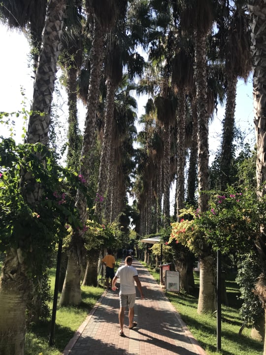 Strand Hotel Gardenia Beach