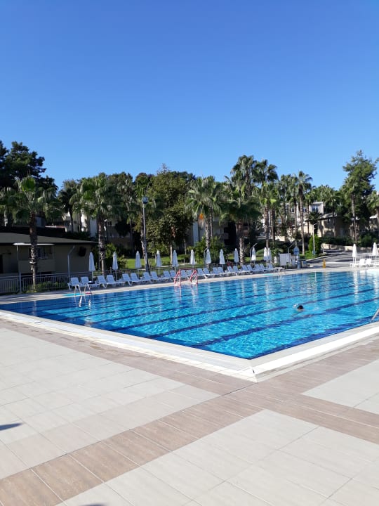 Pool Club Sidelya Hotel
