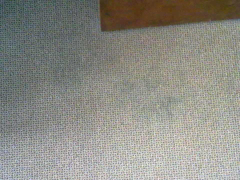 Flecken auf Teppichboden Hotel Nevada Hamburg