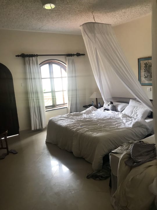 Zimmer Neptune Paradise Beach Resort & Spa