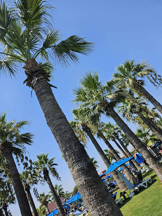 Pool Megasaray Club Belek