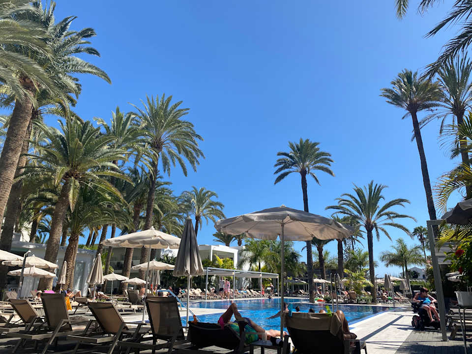 Pool Hotel Riu Palace Palmeras