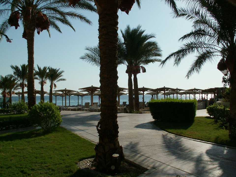 Park zum Strand Palm Beach Resort