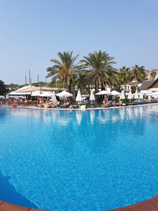 Pool Arum Barut Collection