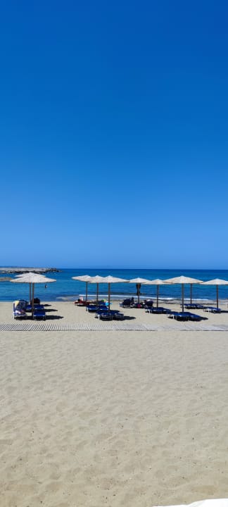 Strand allsun Hotel Carolina Mare