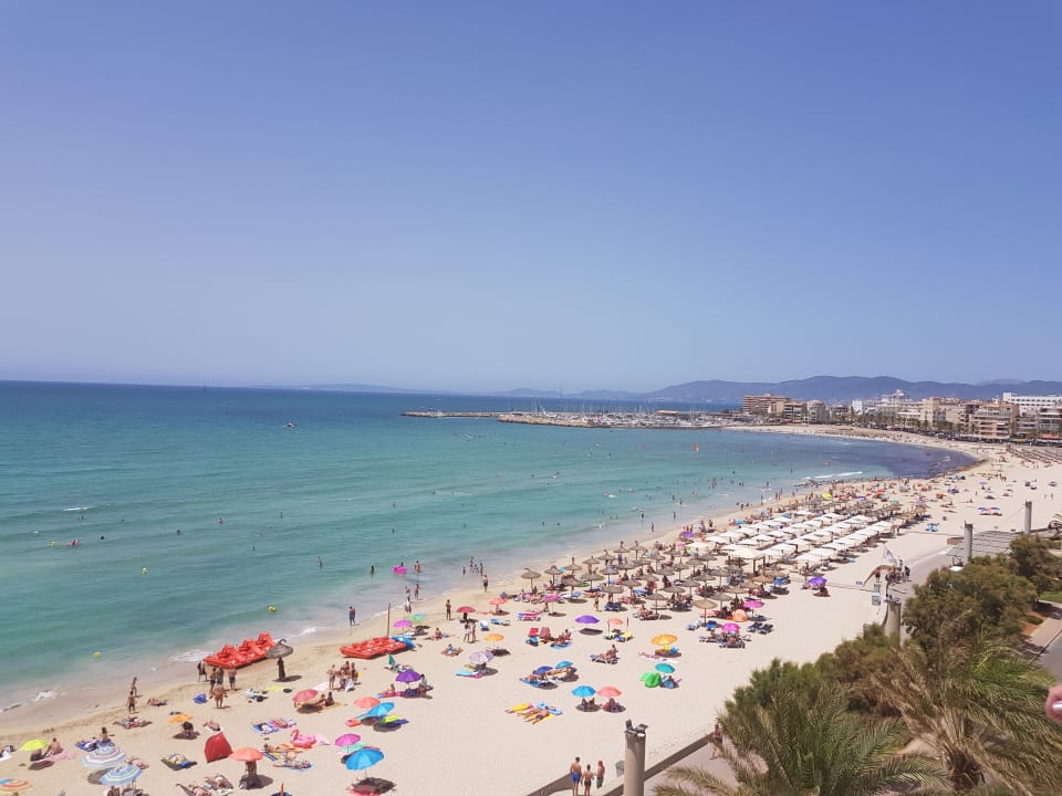 Ausblick Hotel Edén Palma Playa - Adults Only