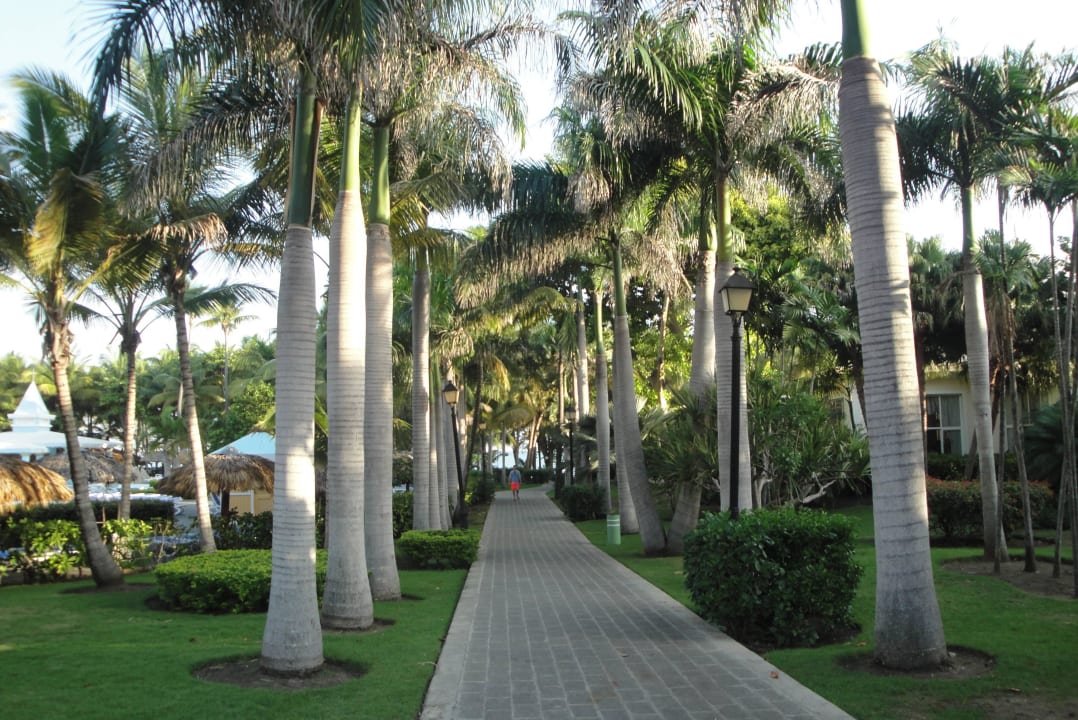 Gartenanlage Playabachata Hotel