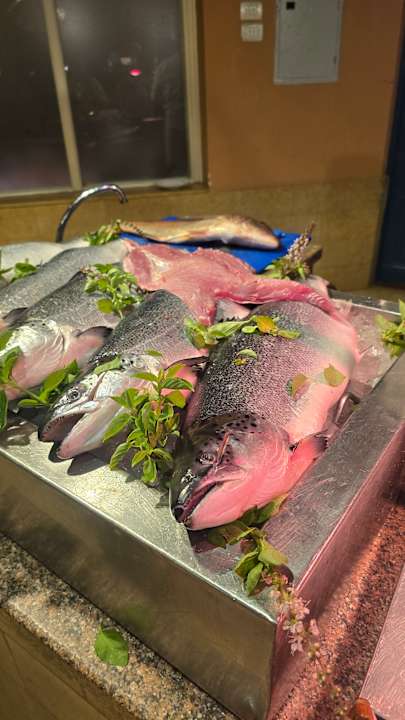 Gastro Club Paradisio El Gouna, Red Sea