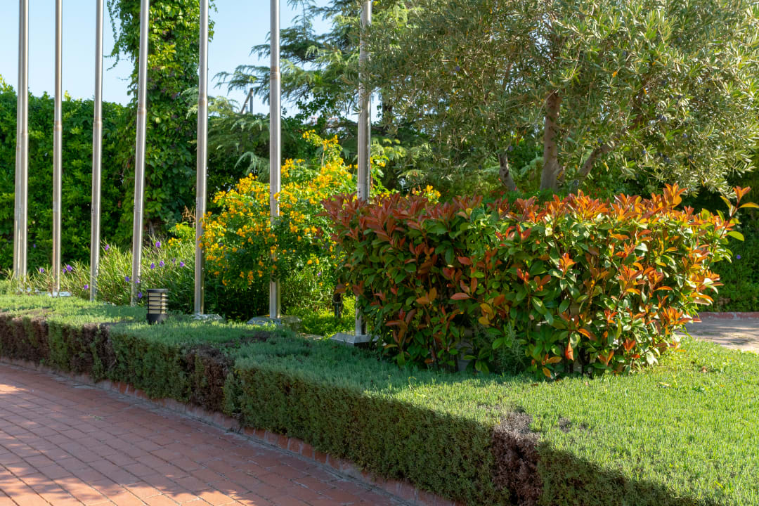 Gartenanlage Side Star Elegance