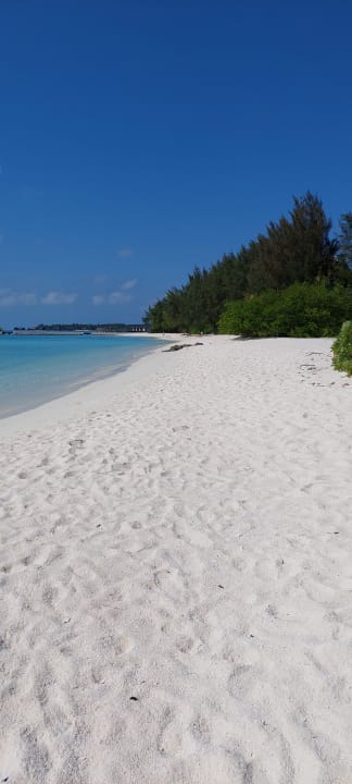 Strand Summer Island Maldives