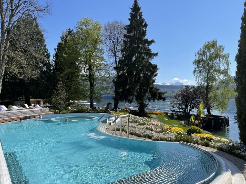 Pool Beatus Wellness- & Spa-Hotel