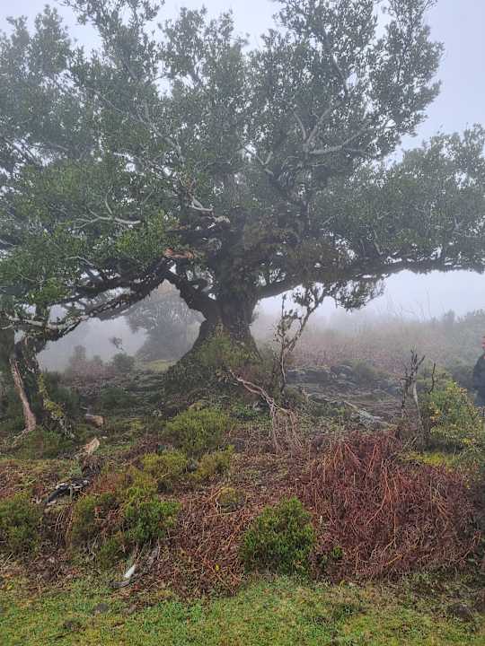 Sonstiges Hotel Golden Residence