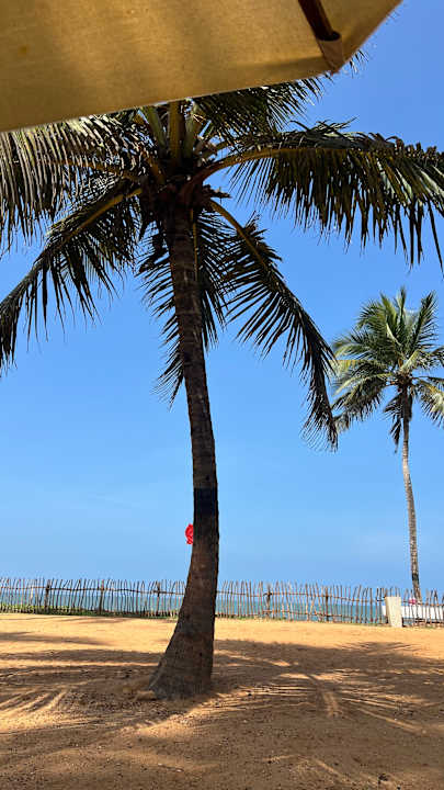 Strand Club Hotel Dolphin