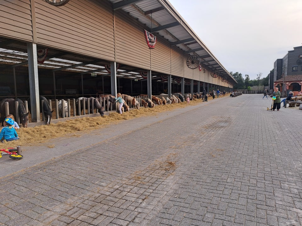 Sport & Freizeit PonyparkCity