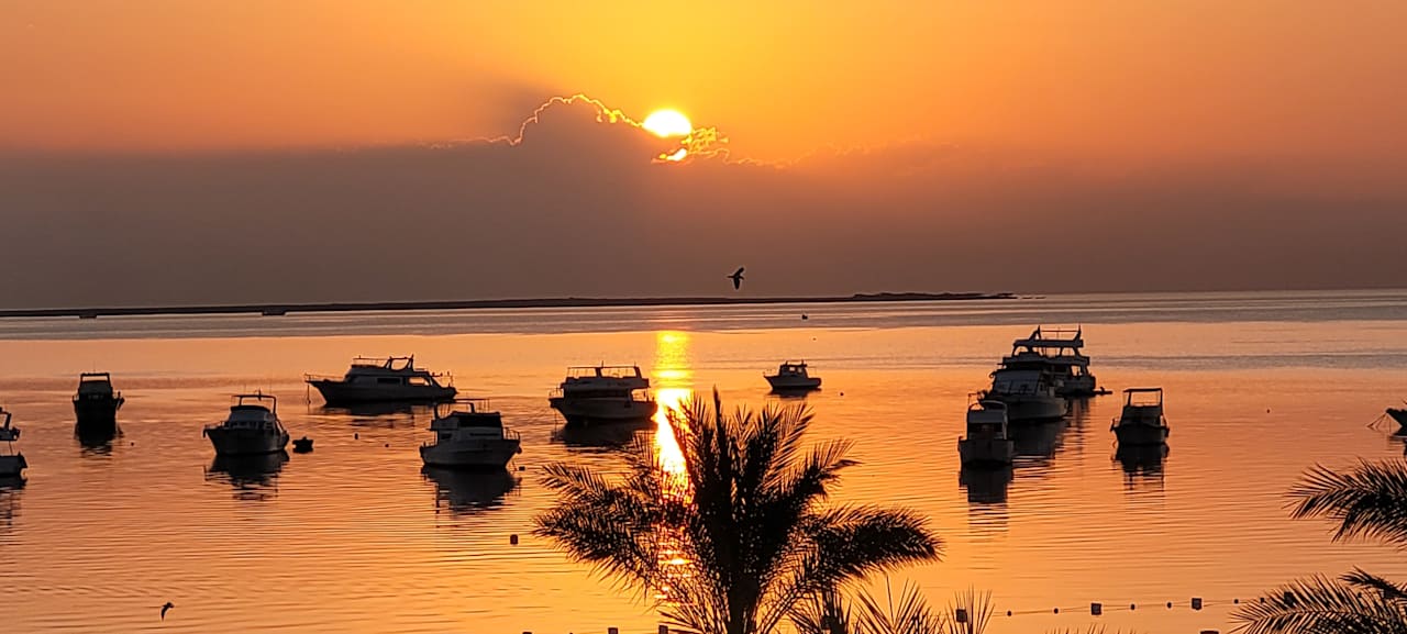 Ausblick The Grand Palace - Adults only