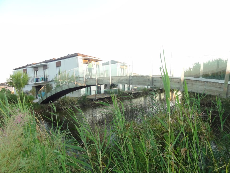 Bridge Jiva Beach Resort