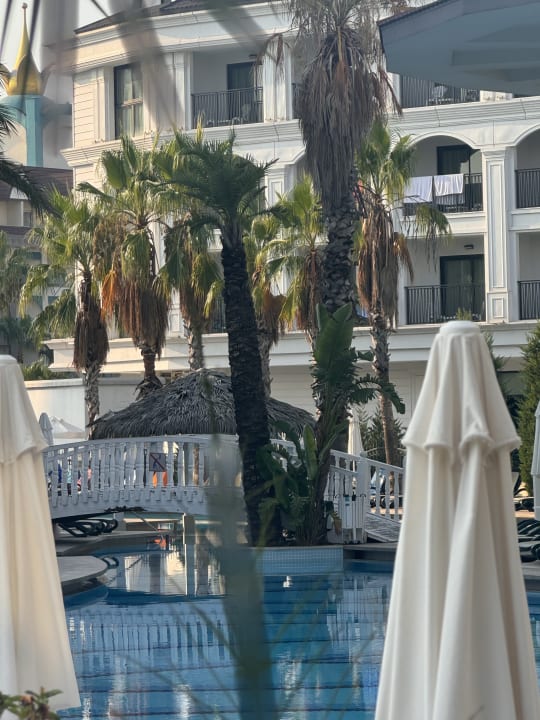 Pool Well Palace Side