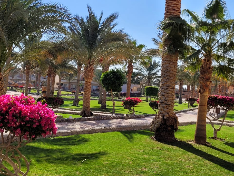 Außenansicht Three Corners Sea Beach Resort