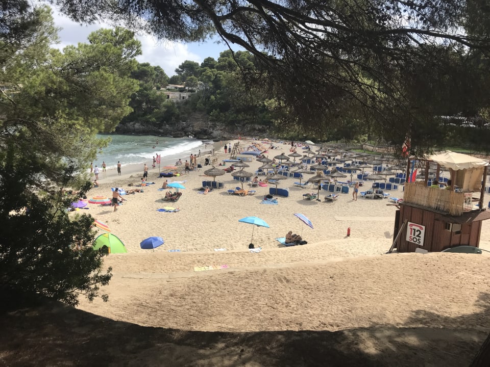 Strand Iberostar Waves Pinos Park