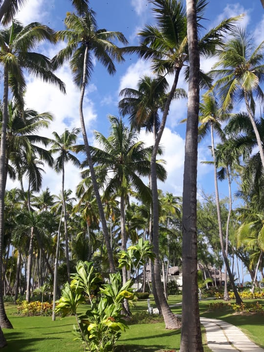 Außenansicht Vista Sol Punta Cana