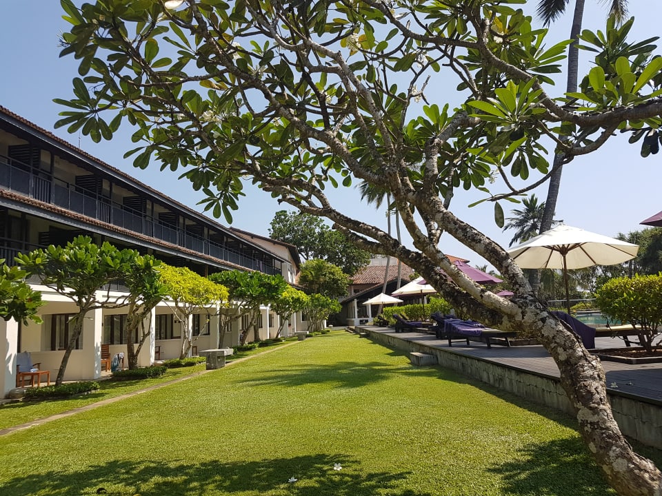 Gartenanlage Thaala Bentota