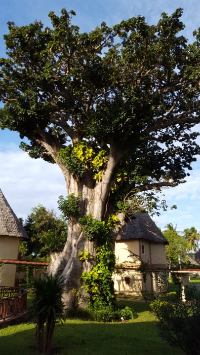 Gartenanlage Neptune Village Beach Resort & Spa