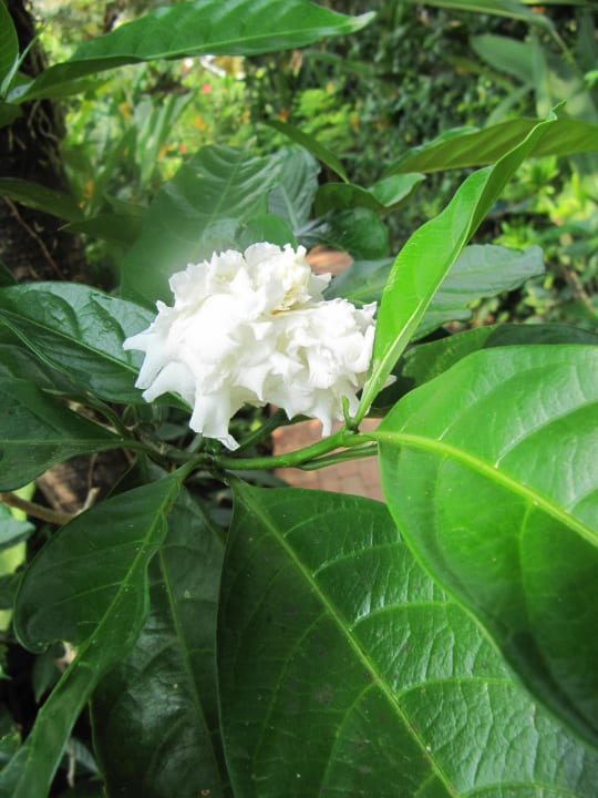 Garten La Veranda Resort Phu Quoc