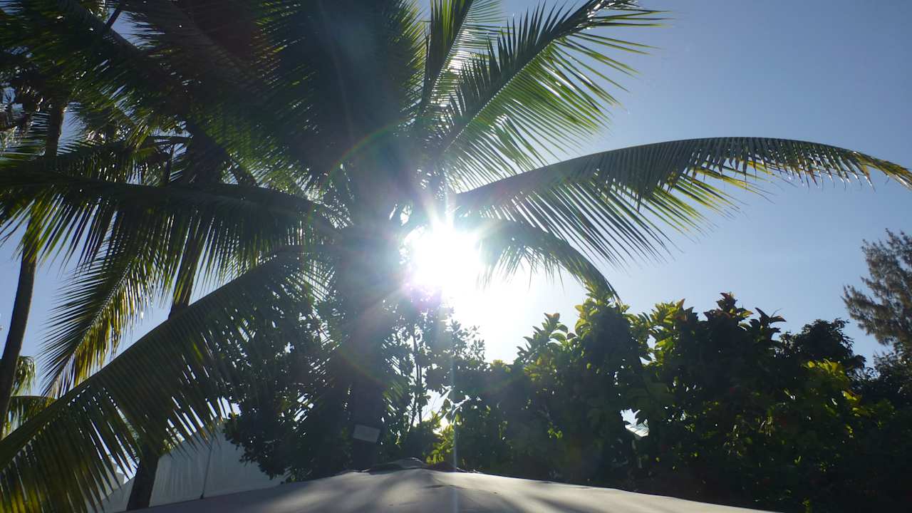 Ausblick Casuarina Resort & Spa