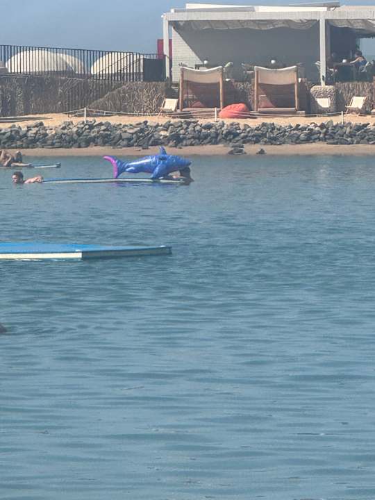 Außenansicht Desert Rose