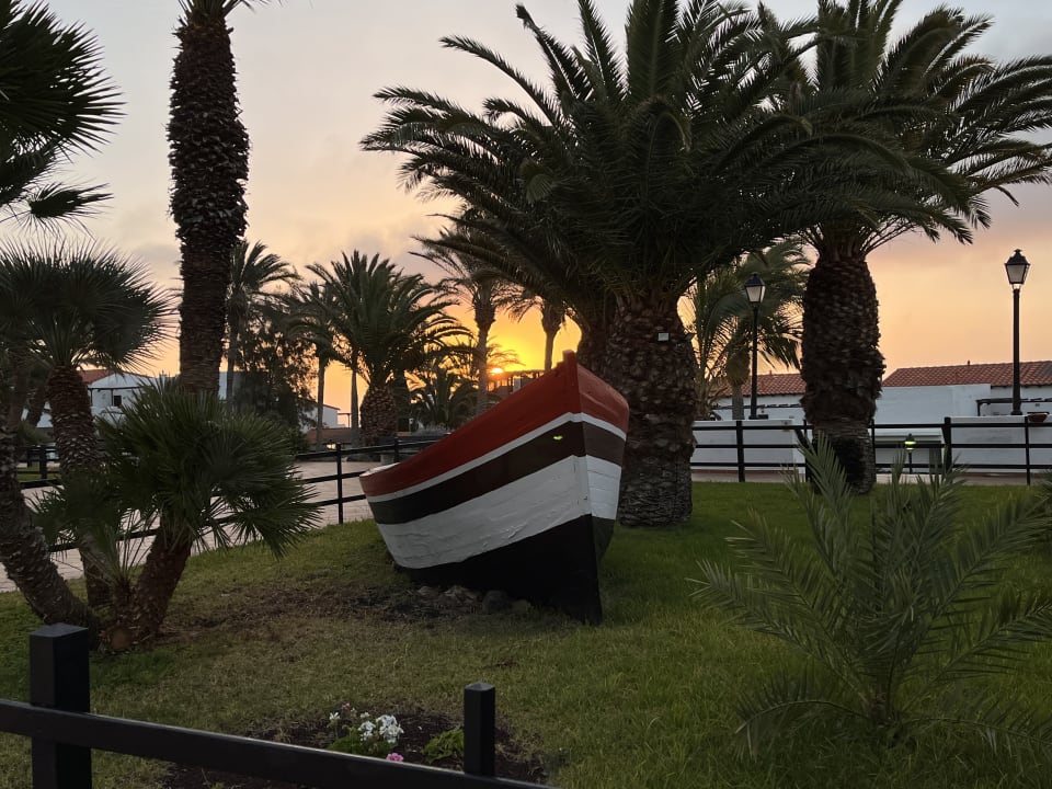 Gartenanlage TUI MAGIC LIFE Fuerteventura