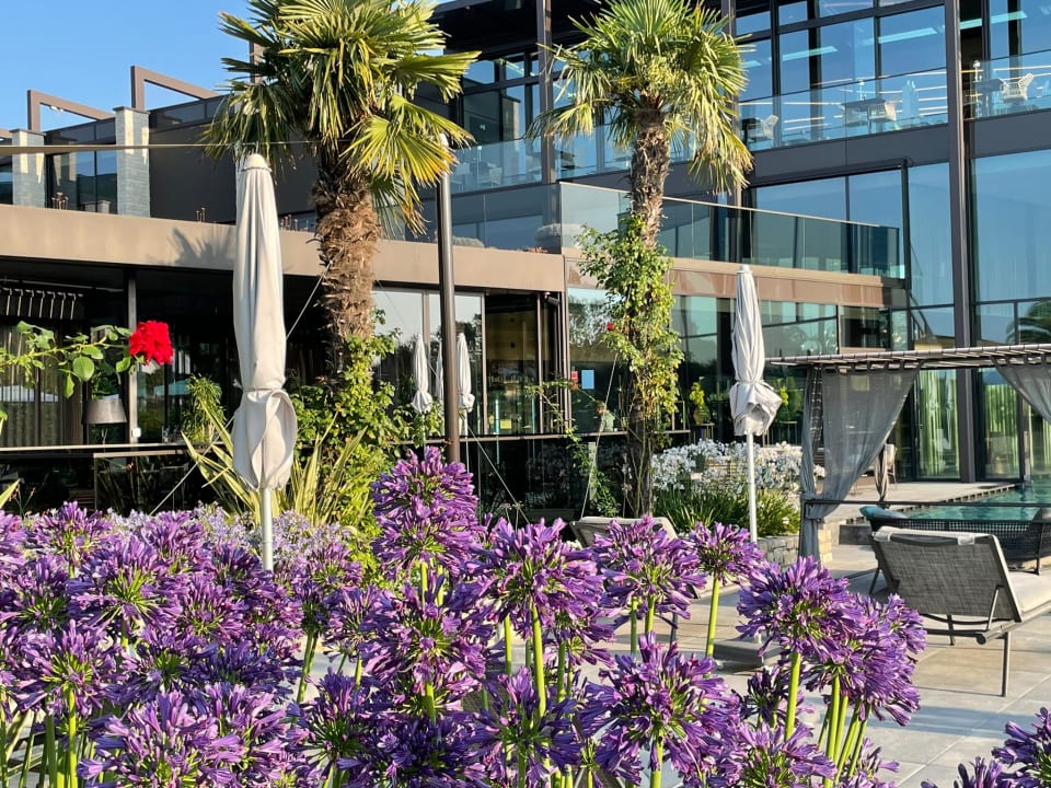 Gartenanlage Quellenhof Luxury Resort Lazise