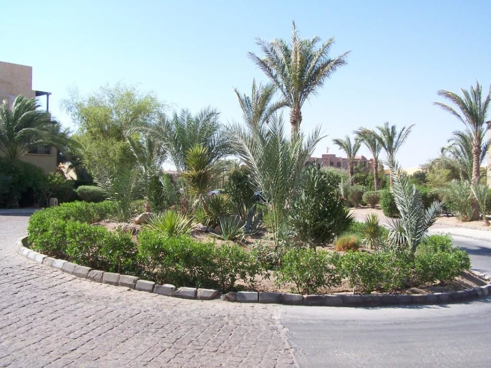 Einfahrtsbereich Three Corners Rihana Resort Deluxe