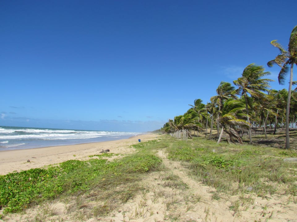 Traumhaft Grand Palladium Imbassai Resort & Spa