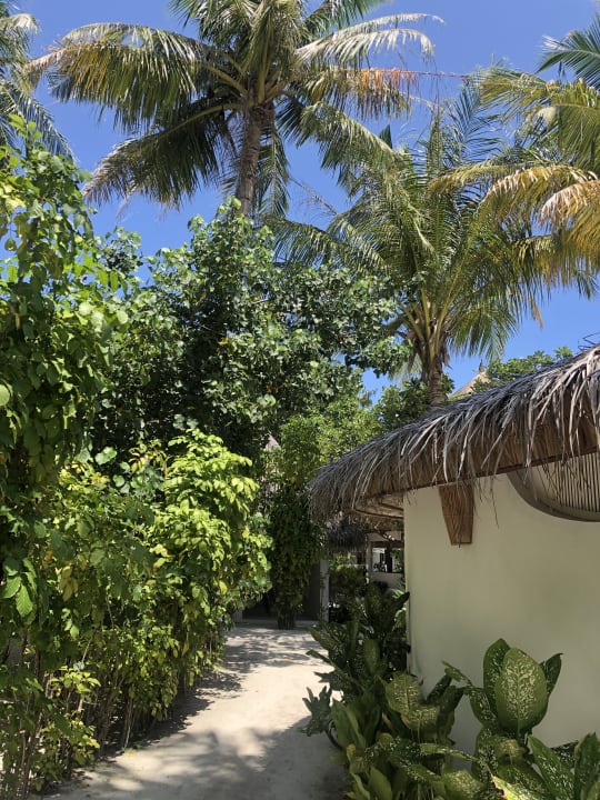 Außenansicht Angaga Island Resort