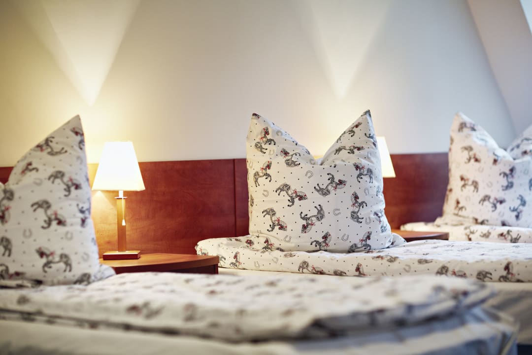 Zimmer Dworek Bielin