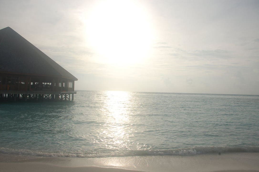 Asion Wok im Süden Meeru Maldives Resort Island