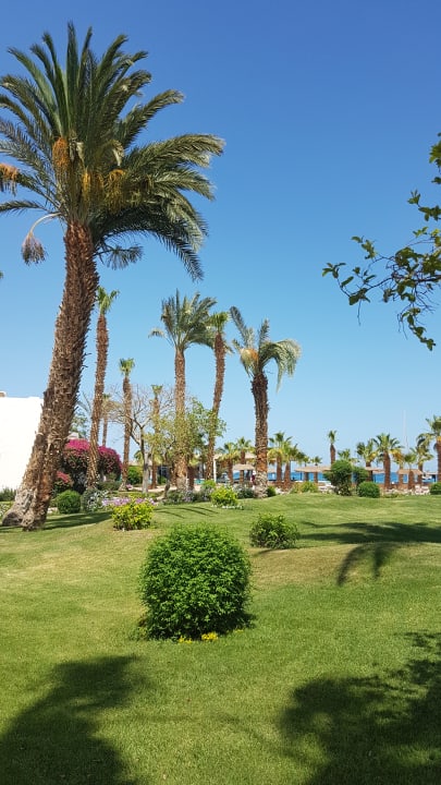 Gartenanlage Lotus Bay Beach Resort