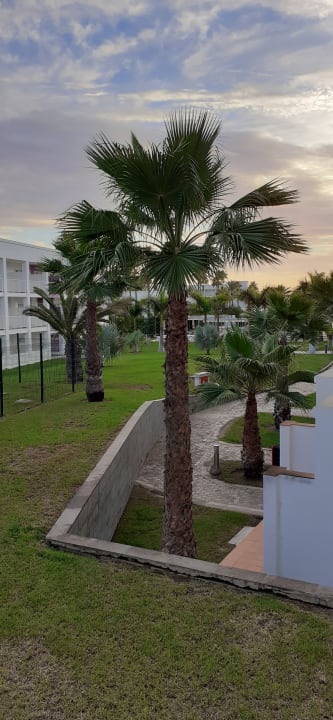 Gartenanlage Hotel Riu Gran Canaria