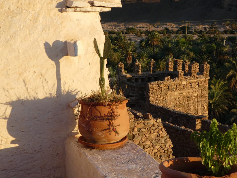 Gartenanlage Guesthouse Dar Infiane