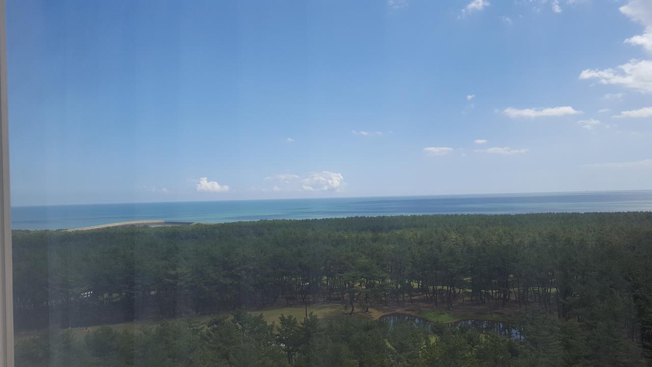 Zimmer Hotel Sheraton Grande Ocean Resort