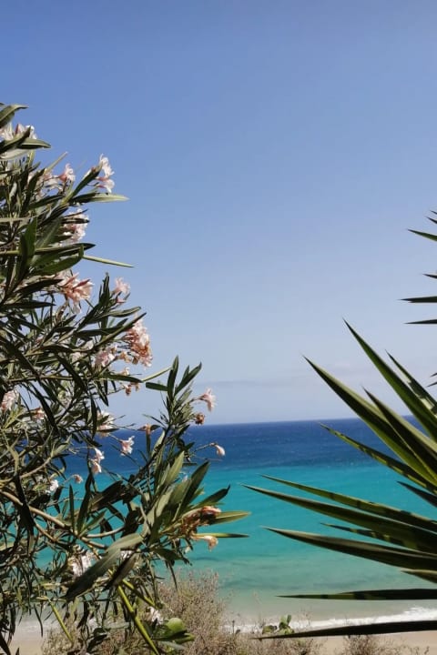 Ausblick Marina Playa Suite Hotel