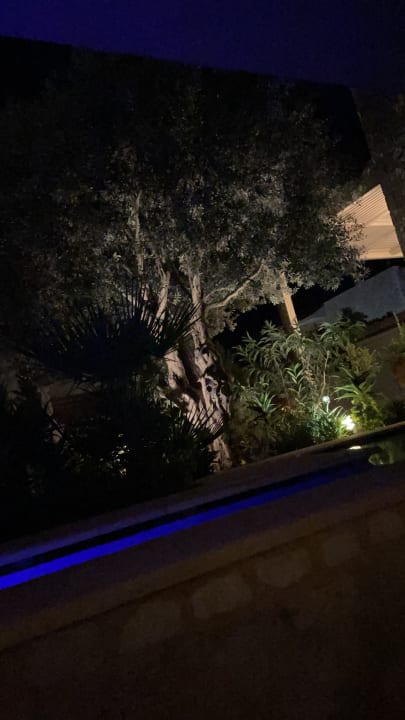 Ausblick Cactus Royal