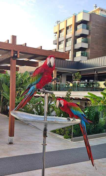 Sonstiges Süral Saray Hotel