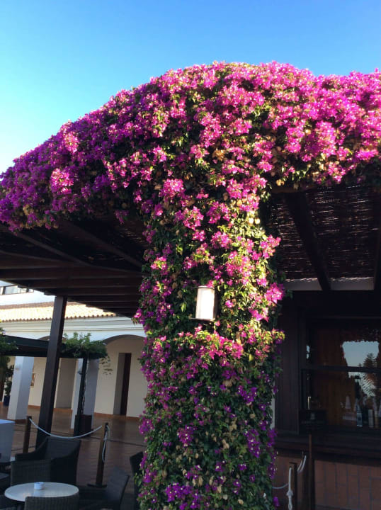 Pool Fuerte Costa Luz (Fuerte Conil-Resort)