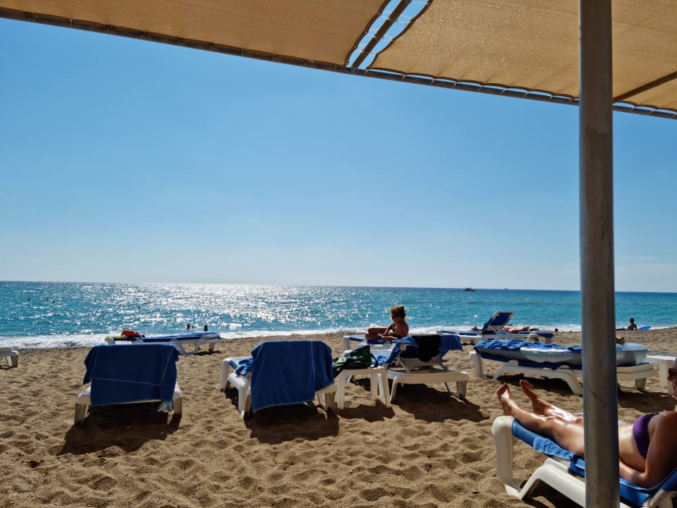 Strand TUI BLUE Palm Garden