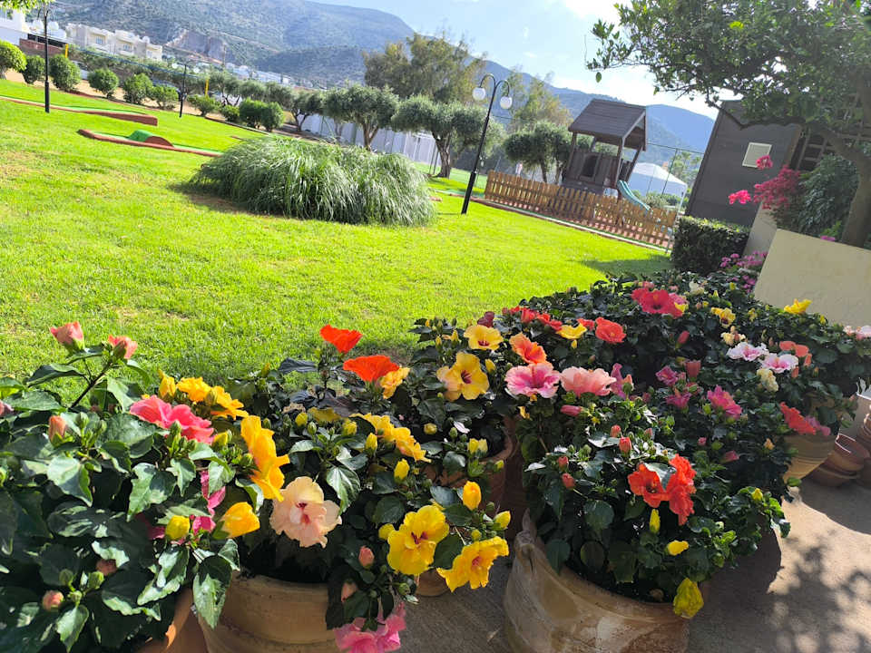 Außenansicht allsun Hotel Malia Beach