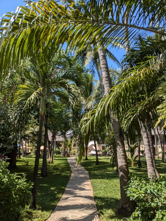 Gartenanlage Bahari Beach Hotel