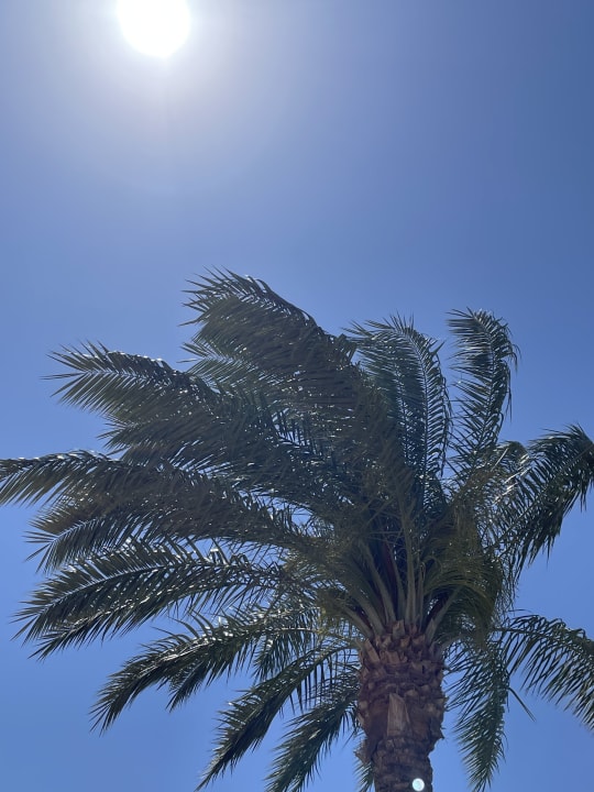Gartenanlage Hurghada Long Beach Resort
